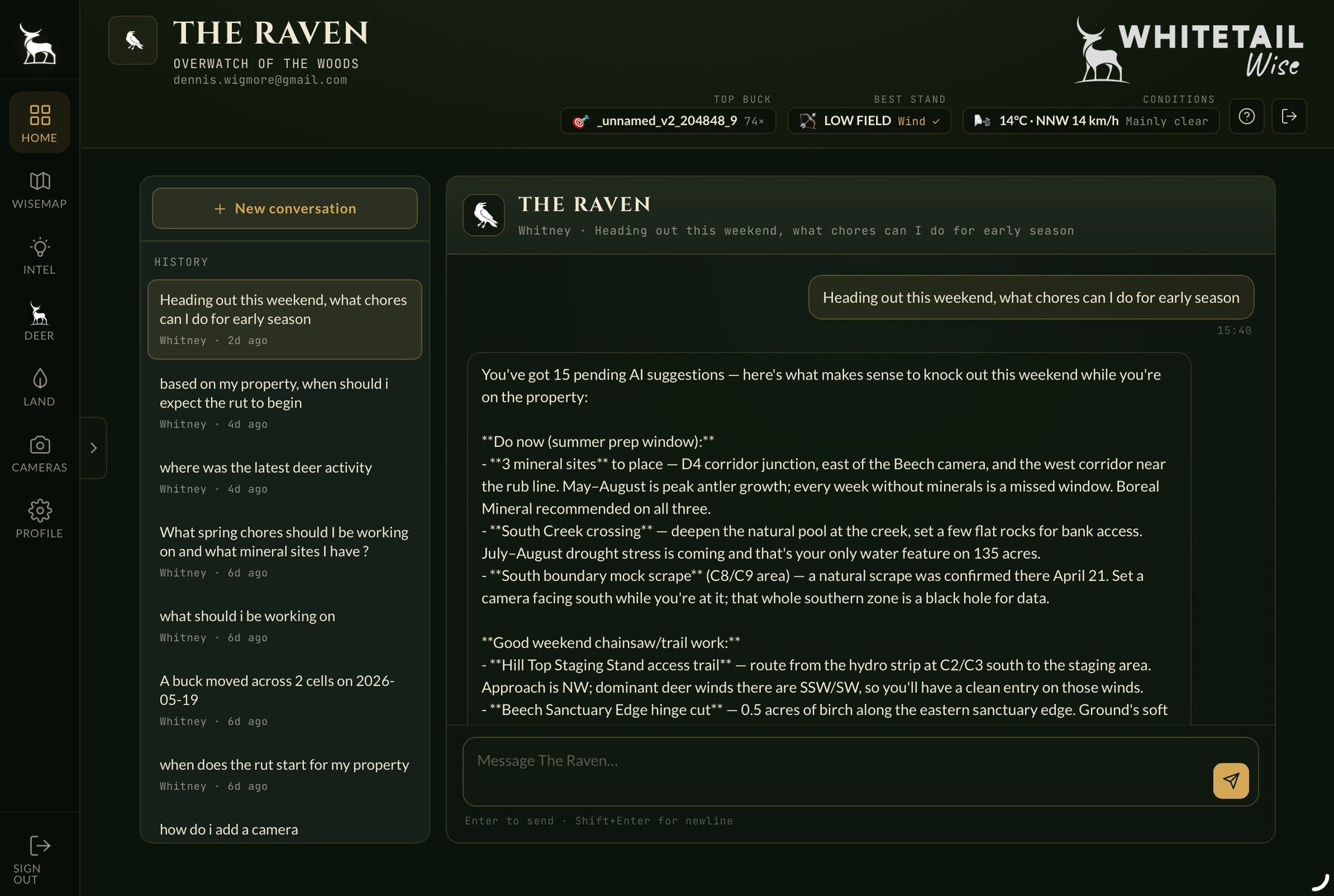 The Raven — ask the woods anything