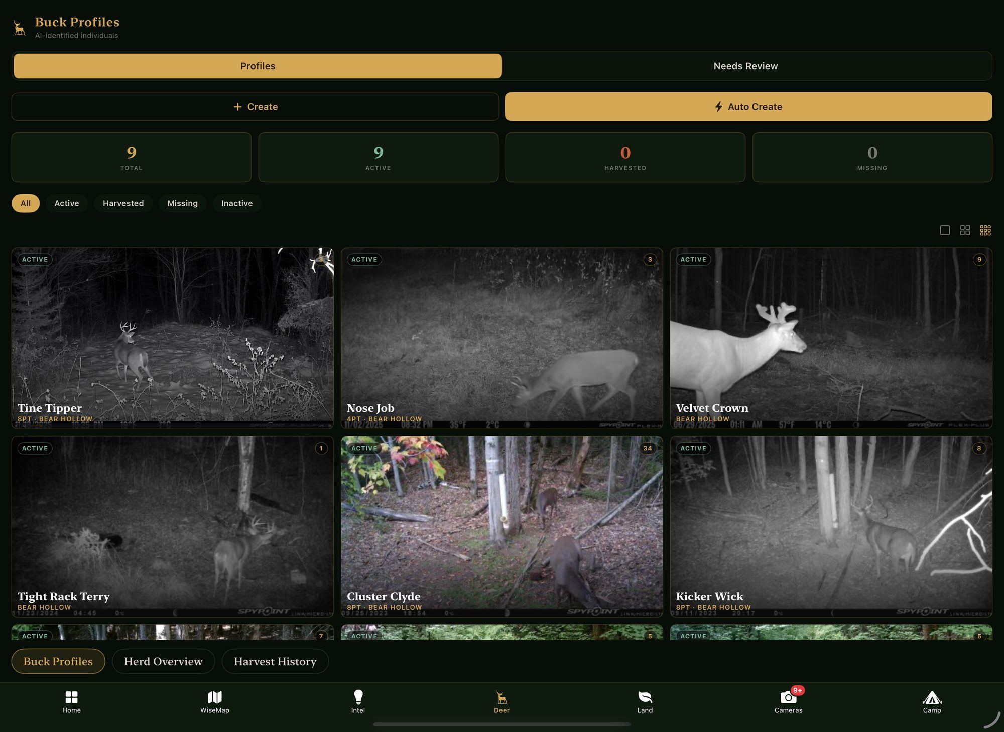 Buck profiles, each individually identified from trail-camera photos