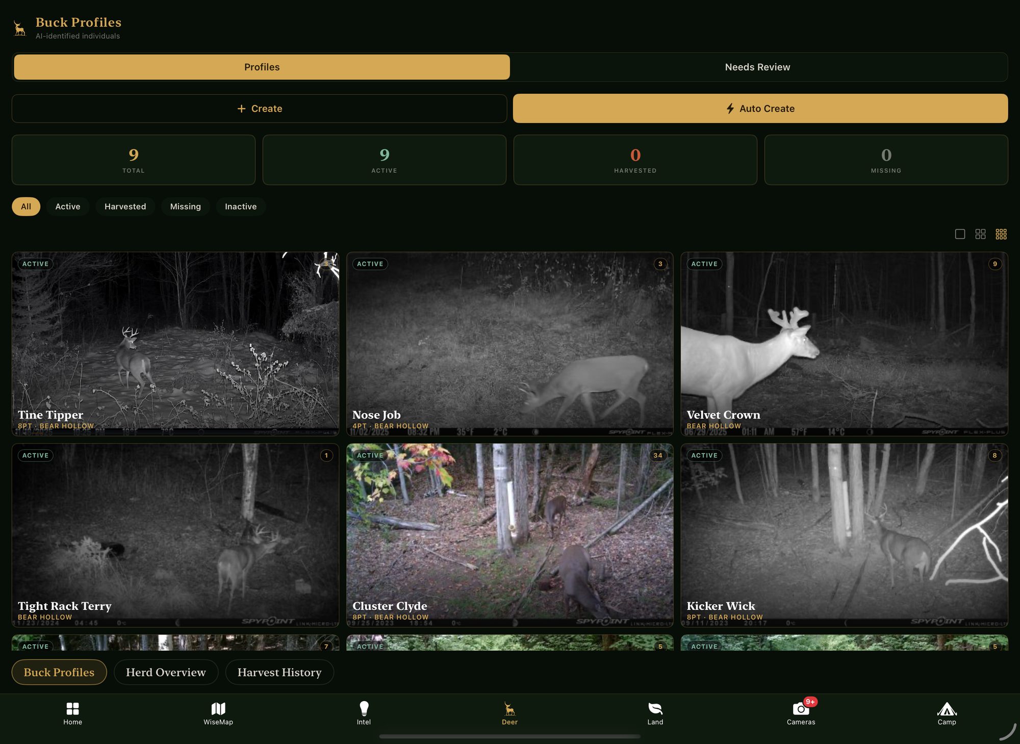 Buck profiles, each individually identified from trail-camera photos