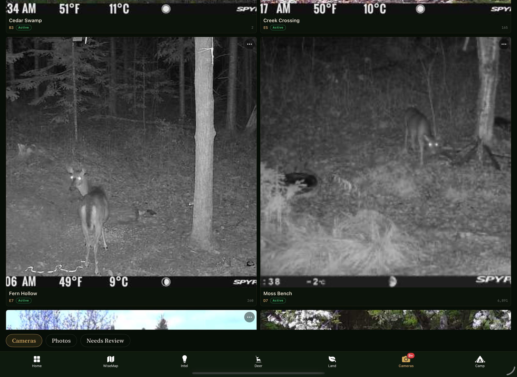 Trail-camera photos read and sorted by camera and conditions